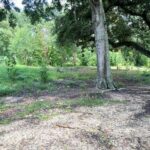 images of land for sale
